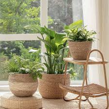 Basket planter